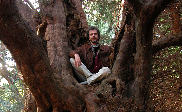 Fred Hageneder sitting in ancient yew tree