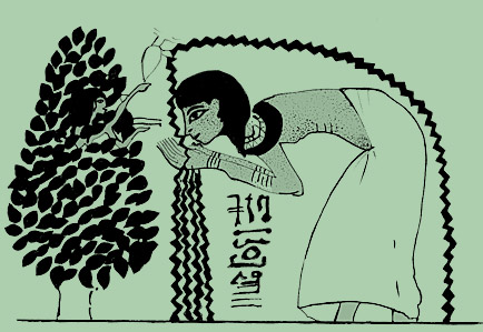A deusa Hathor do Egito antigo na figueira de Sykomor