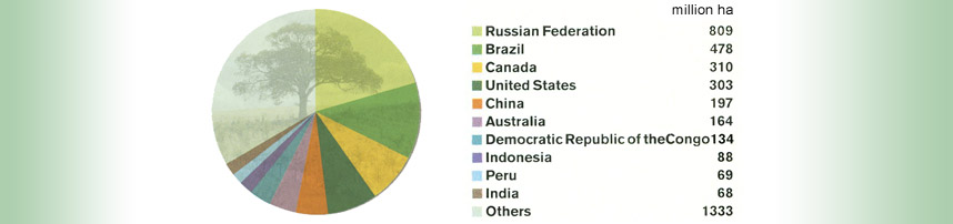 Ten countries with the largest forest area (2005)