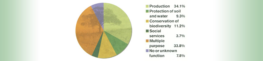 diagram: Functions of forests (2005)