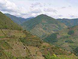tropical deforestation and landscape fragmentation in Colombia, mostly due to koka crops. © sharedresponsibility.gov.co