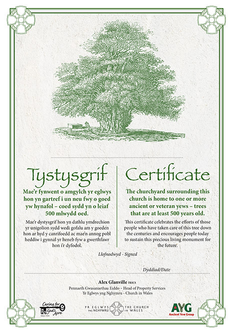 yew tree certificate by the Church in Wales (2015)